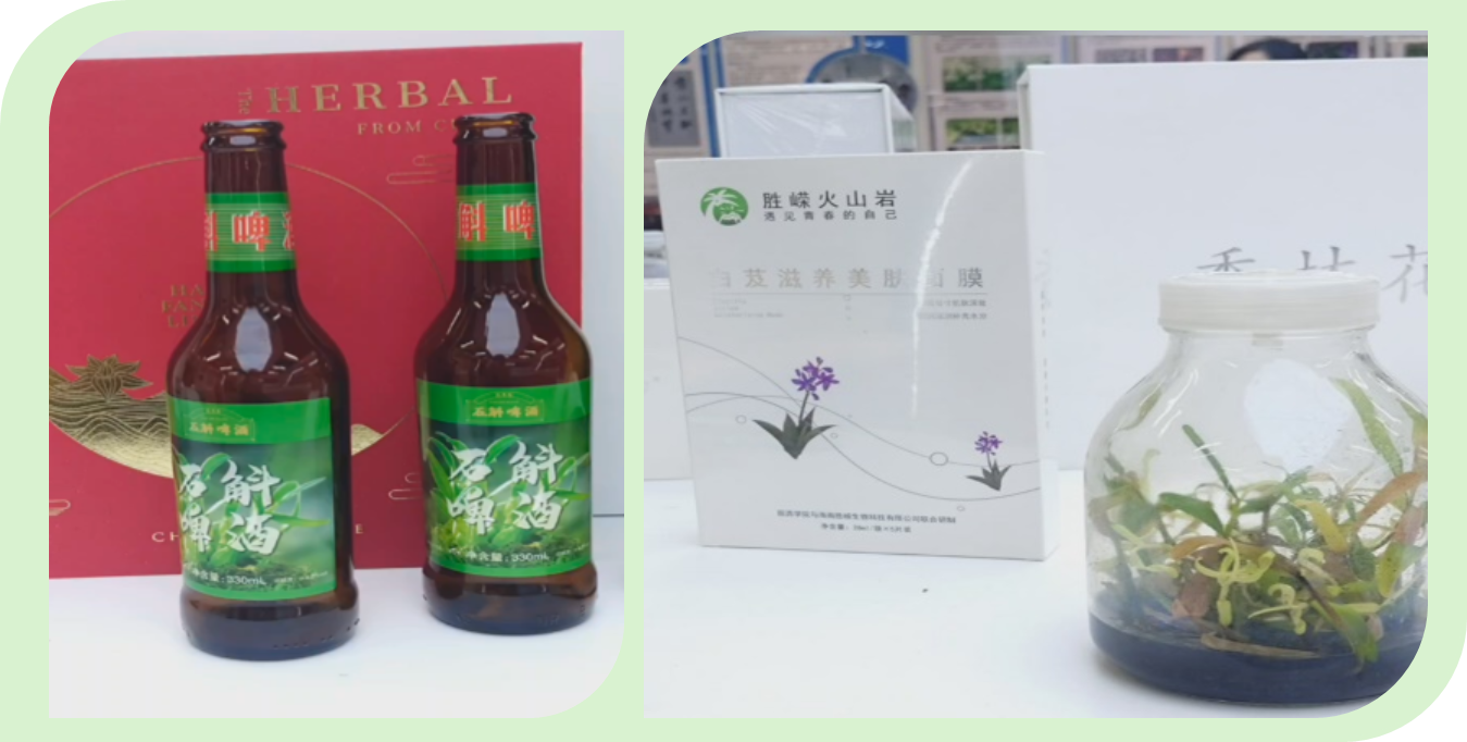 石斛啤酒與白芨滋養美膚面膜